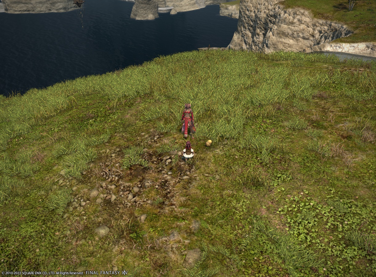 ffxiv_20220701_180337_931