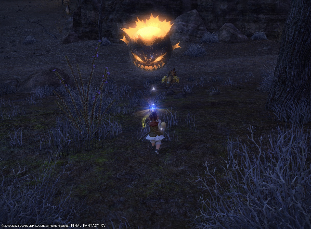 ffxiv_20220720_154517_510 ffxiv_20220720_154517_510