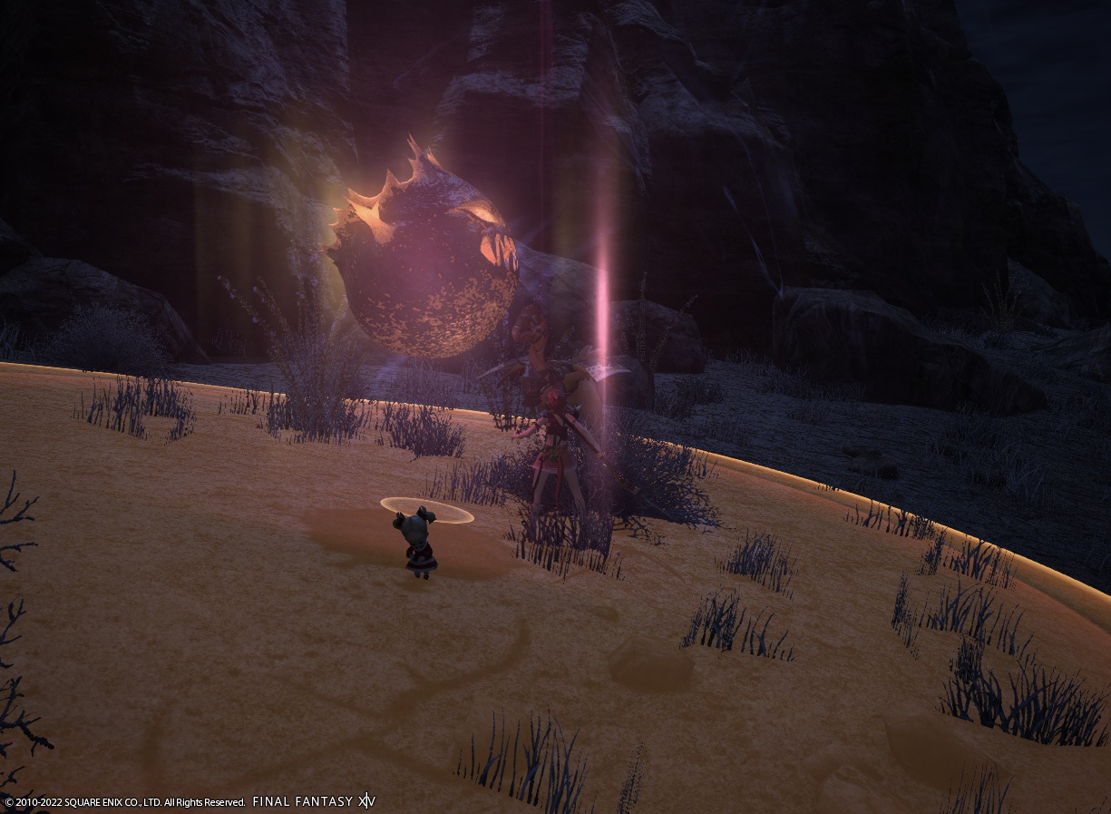 ffxiv_20220824_142457_083