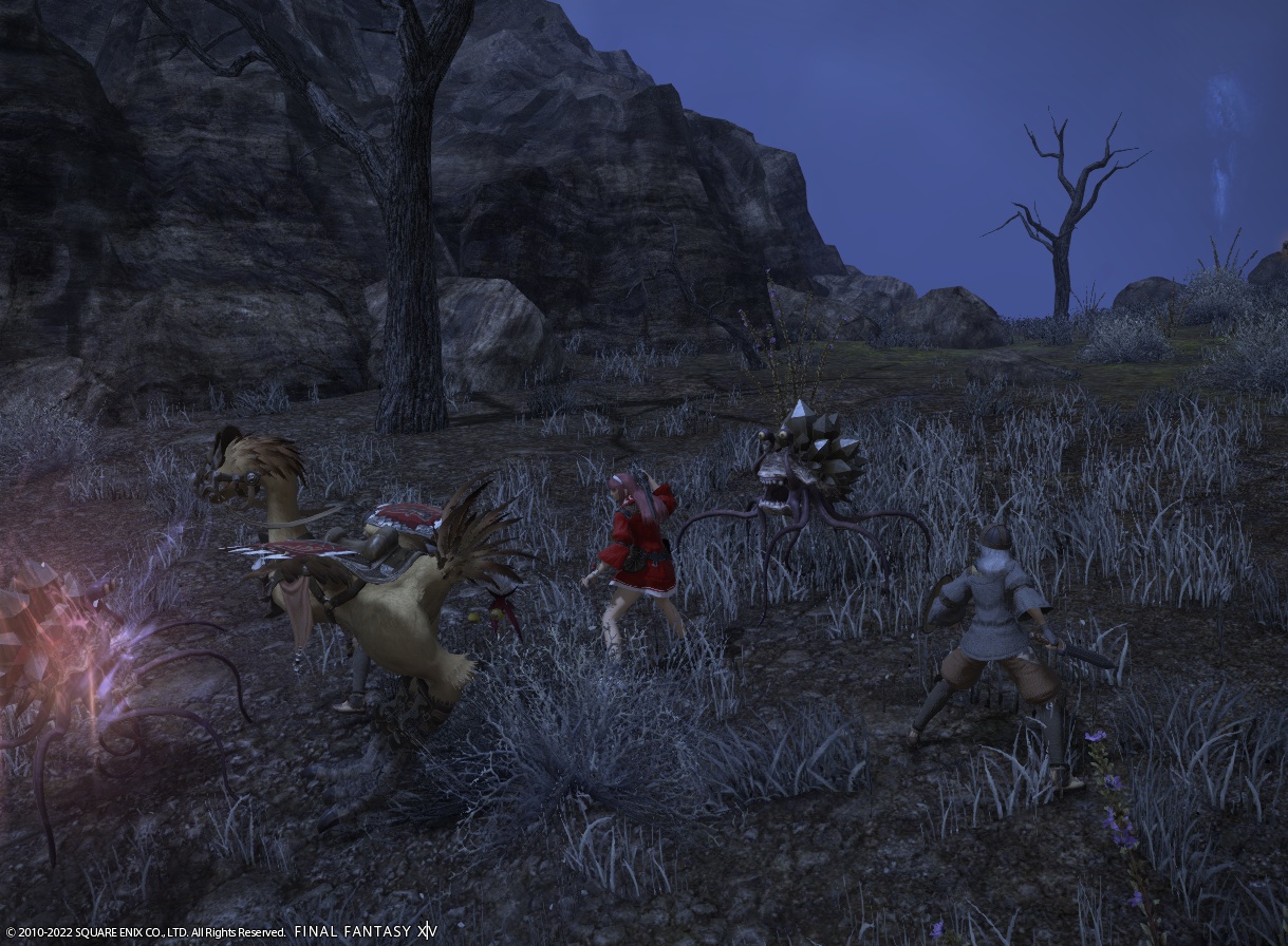 ffxiv_20221019_133556_707
