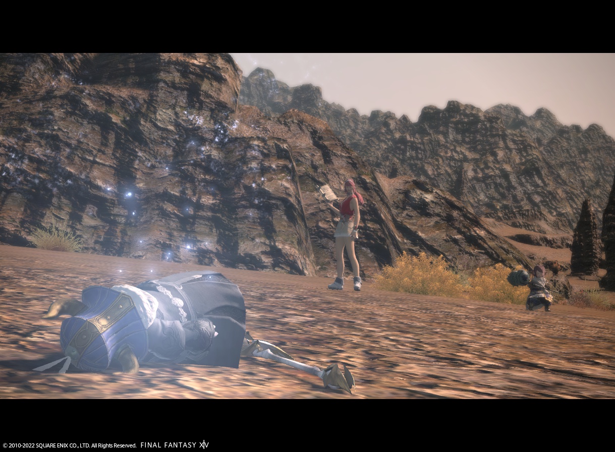 ffxiv_20221029_160840_716