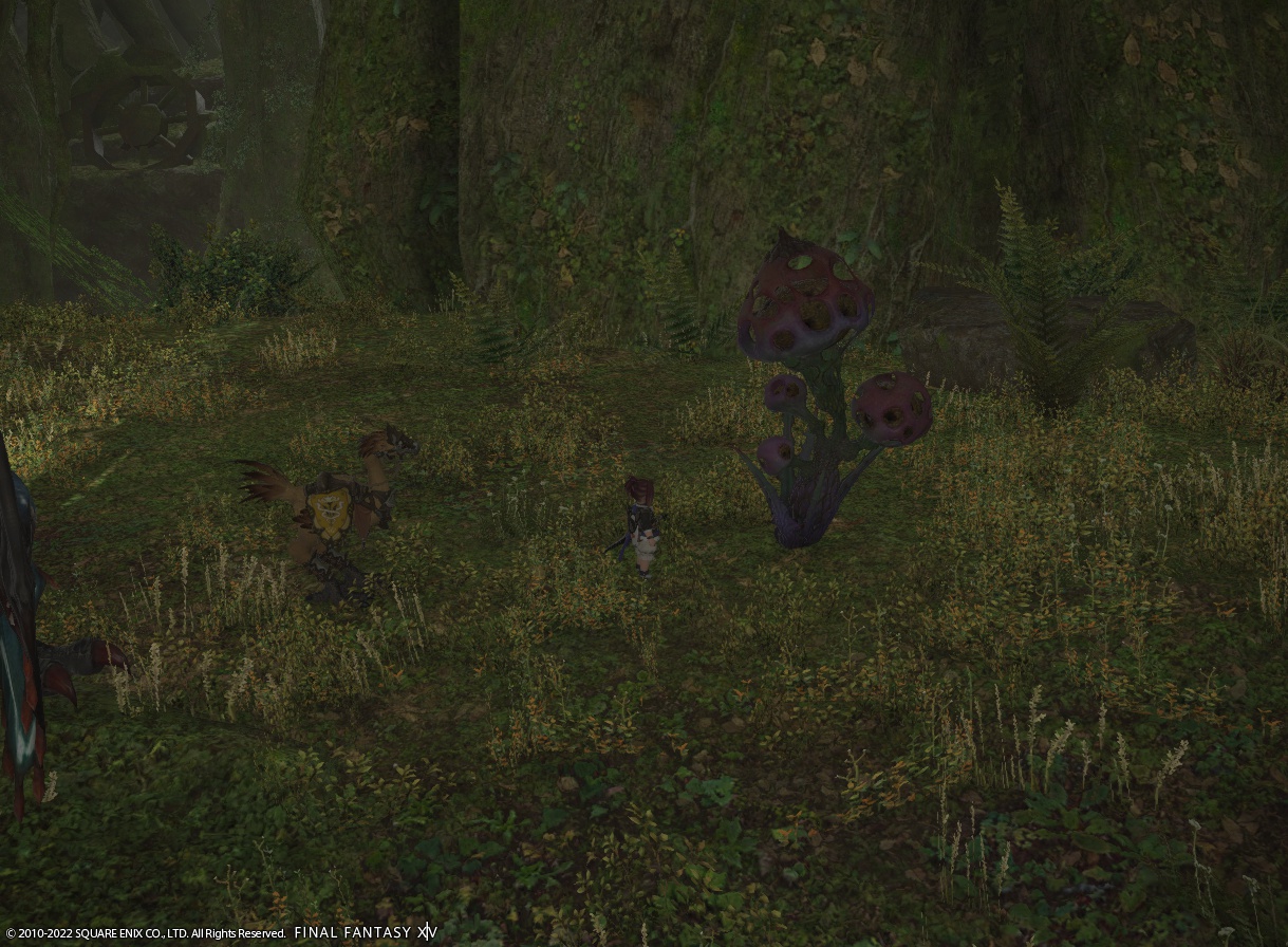 ffxiv_20221126_160829_905