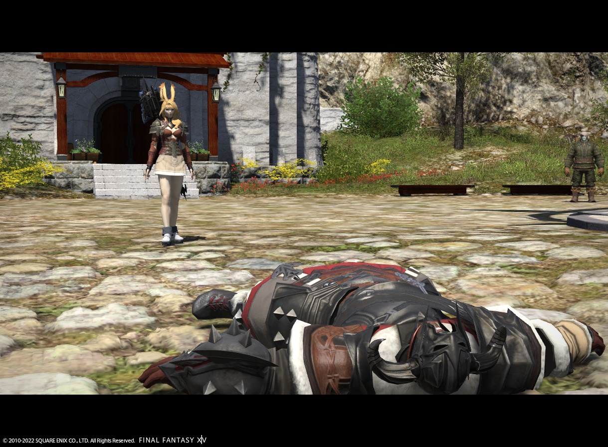 ffxiv_20221129_002838_333