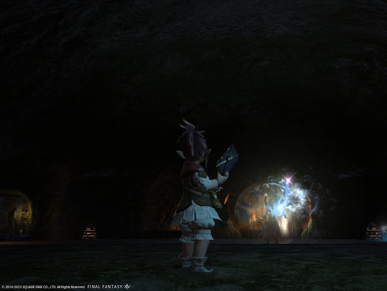 ffxiv_20230118_000040_430 ffxiv_20230118_000040_430