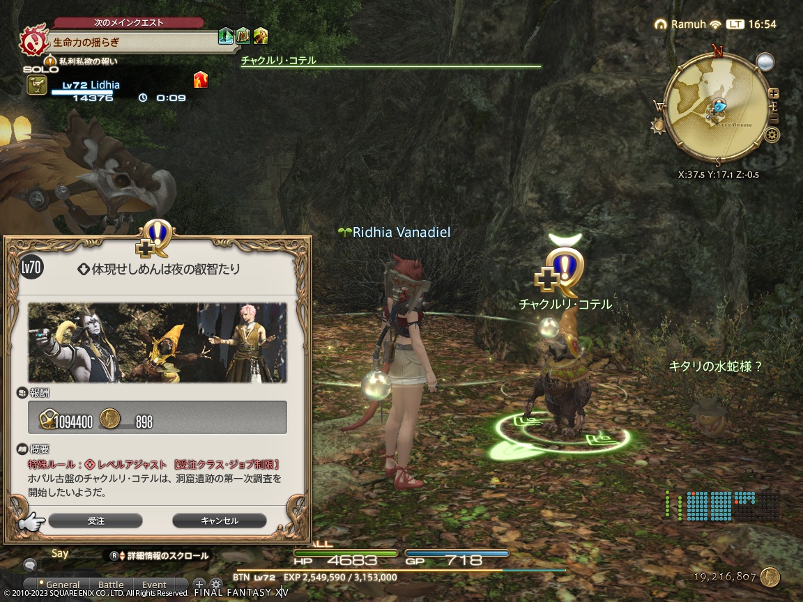 ffxiv_20231110_165442_236