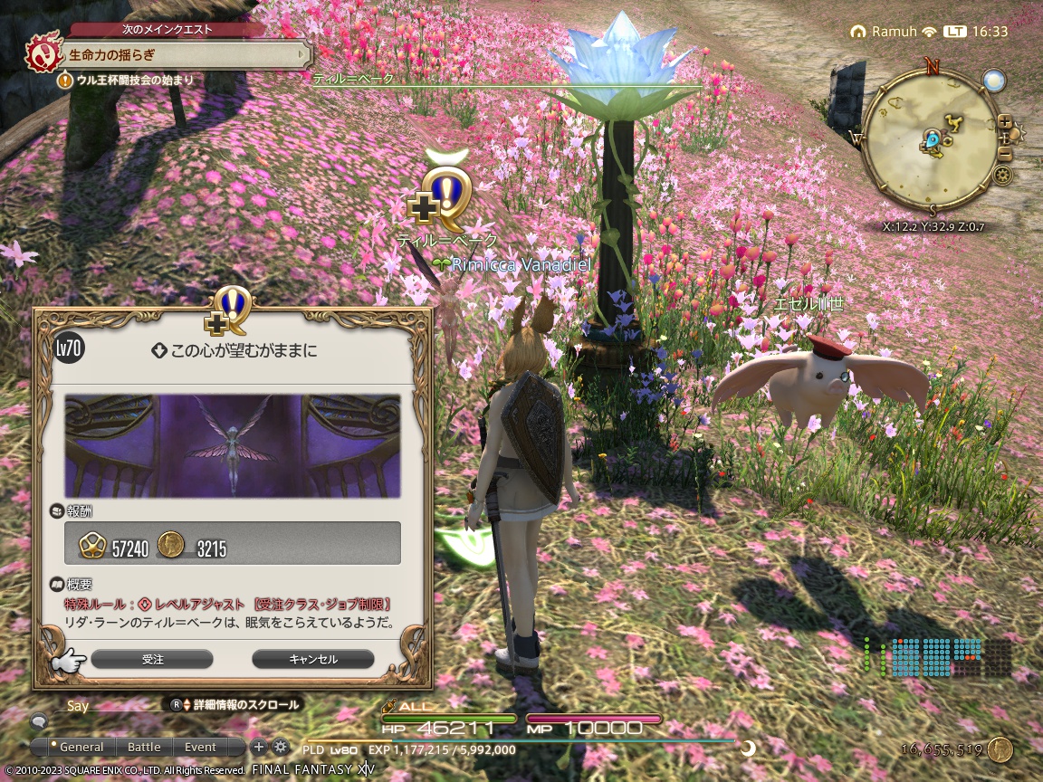 ffxiv_20231111_163327_368 ffxiv_20231111_163327_368