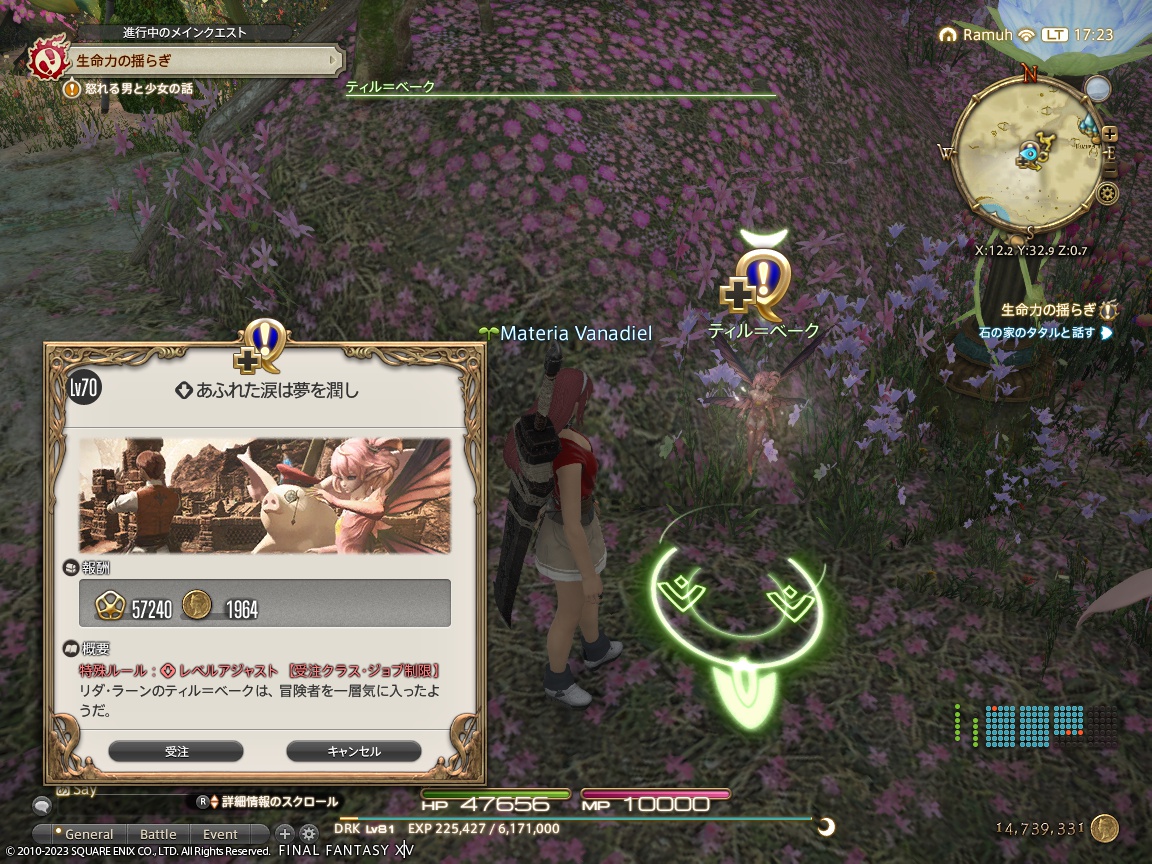 ffxiv_20231117_172329_998