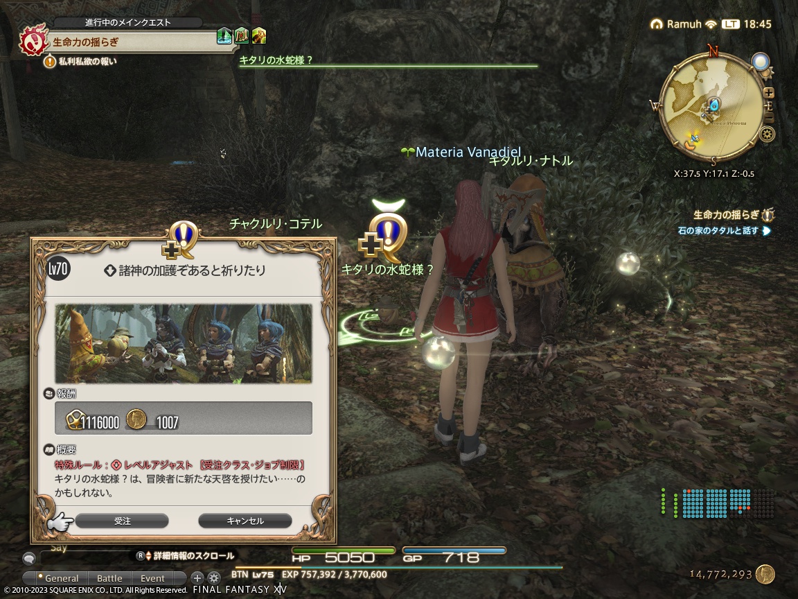 ffxiv_20231119_184529_709 ffxiv_20231119_184529_709