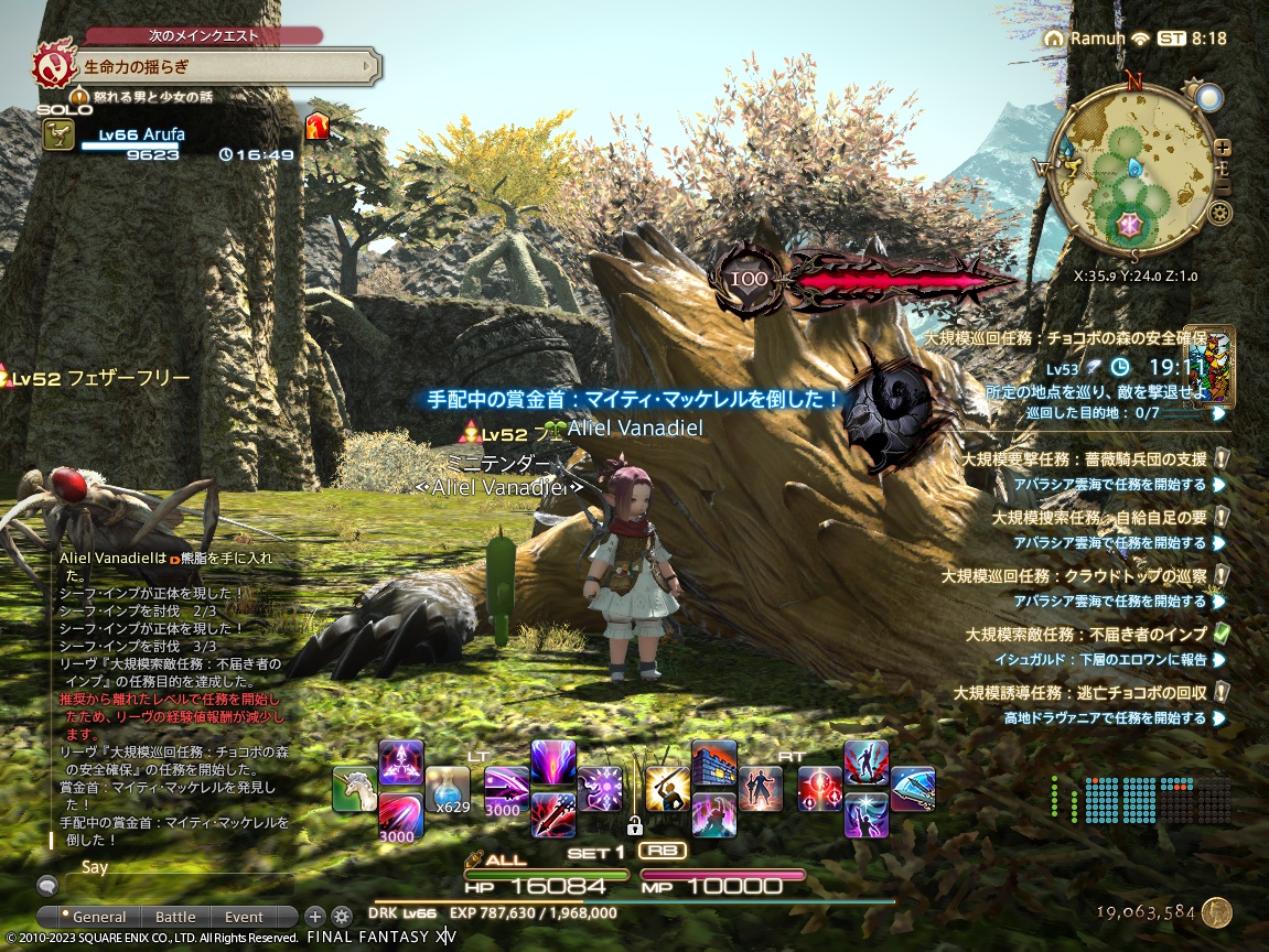 ffxiv_20231129_171839_012