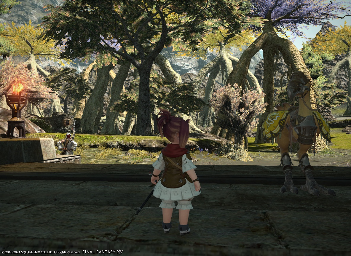 ffxiv_20240313_230432_243 ffxiv_20240313_230432_243