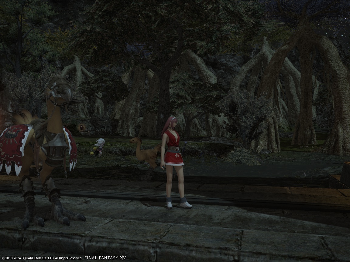 ffxiv_20240410_153532_559