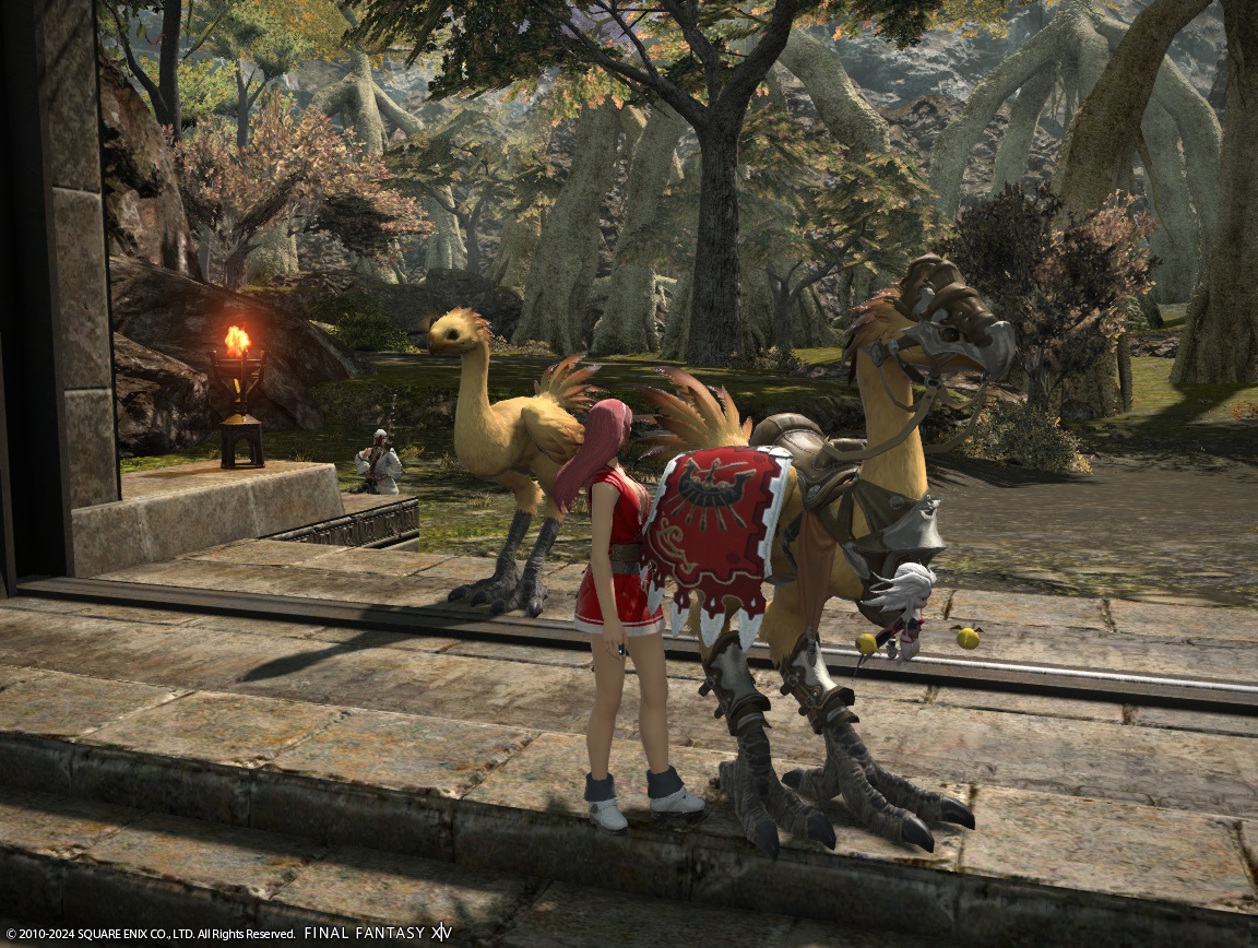 ffxiv_20240417_155212_681