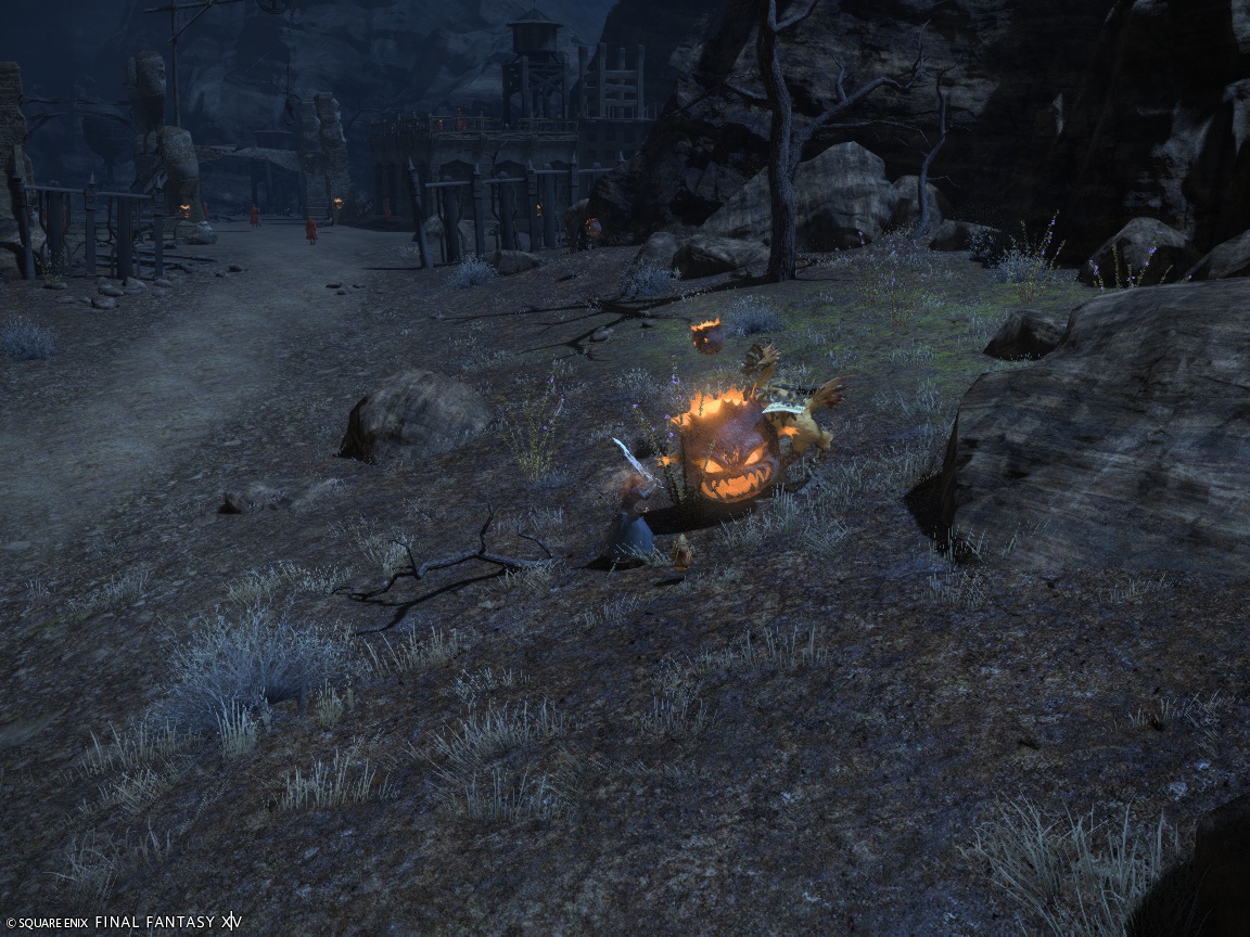 ffxiv_20240910_175315_031