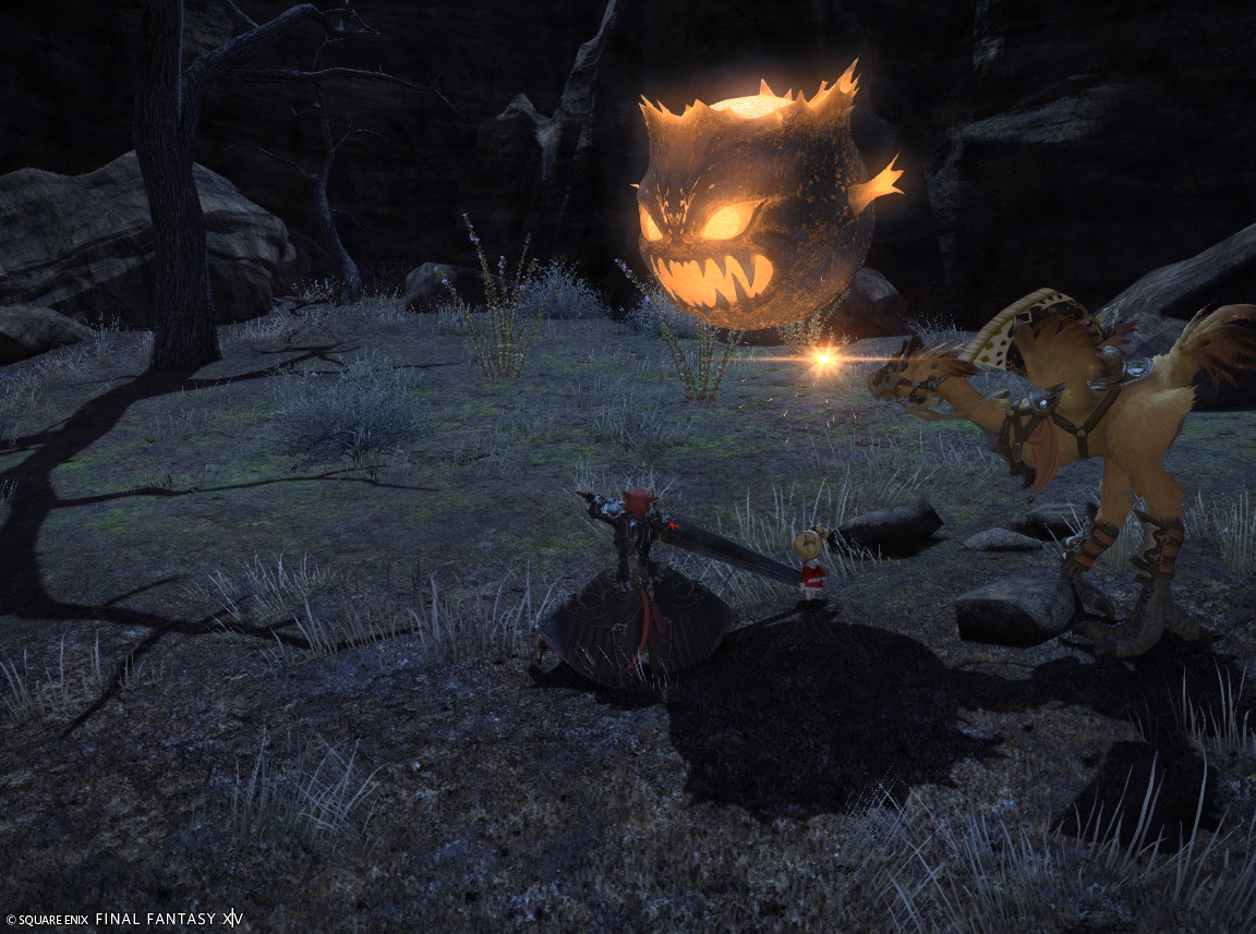 ffxiv_20241001_174524_958 ffxiv_20241001_174524_958