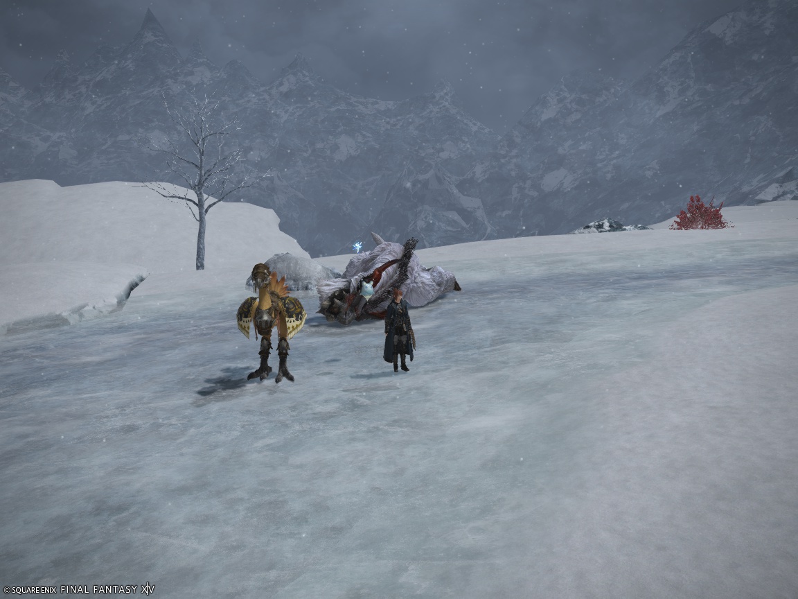 ffxiv_20241009_145619_823 ffxiv_20241009_145619_823