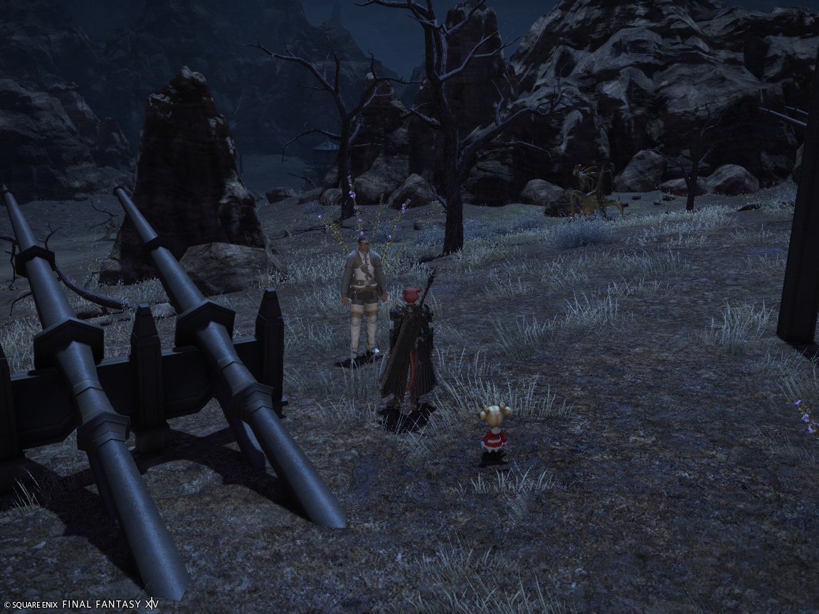 2024年11月20日のFF14＆LeagueofAngelsⅡプレイ日記