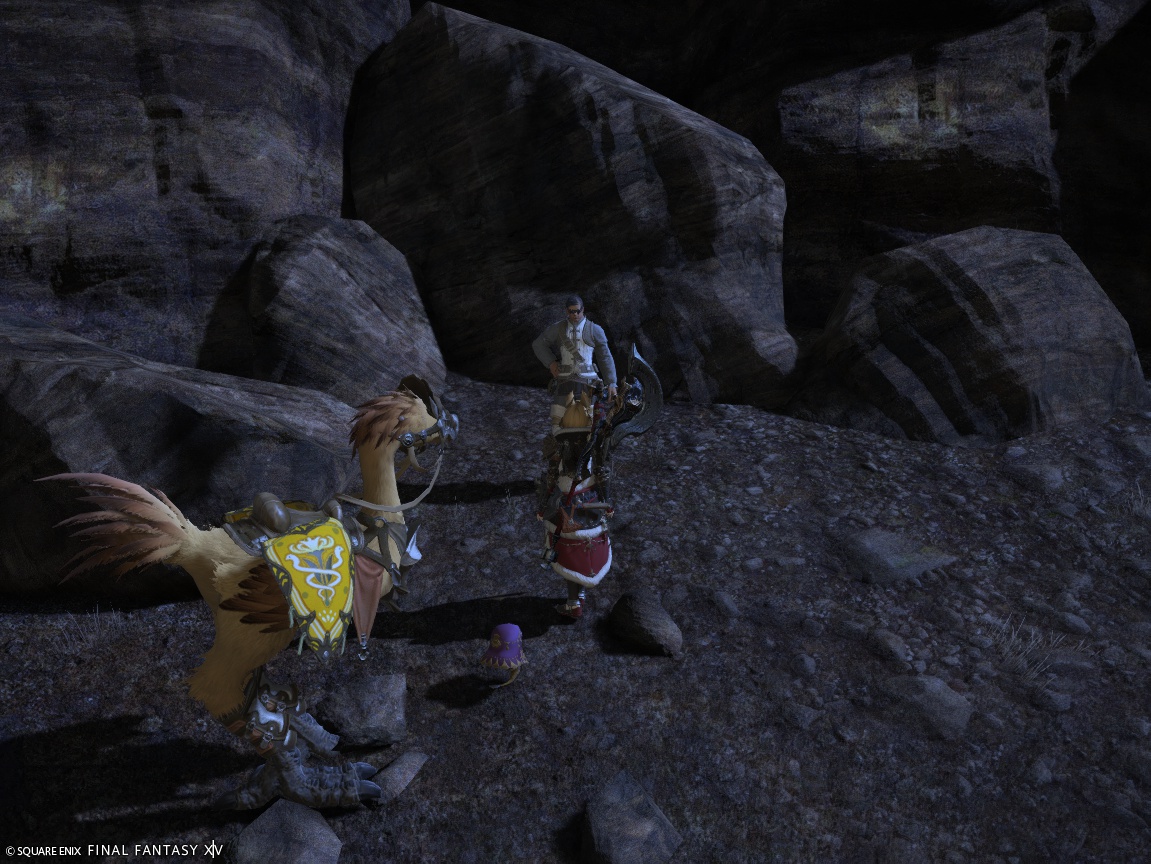 2024年11月14日のFF14＆LeagueofAngelsⅡプレイ日記