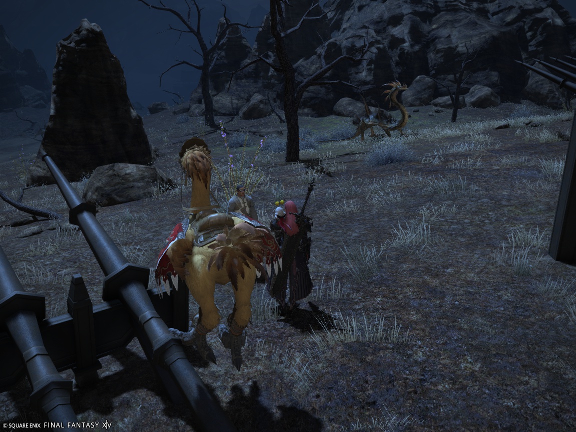 2024年11月21日のFF14＆LeagueofAngelsⅡプレイ日記