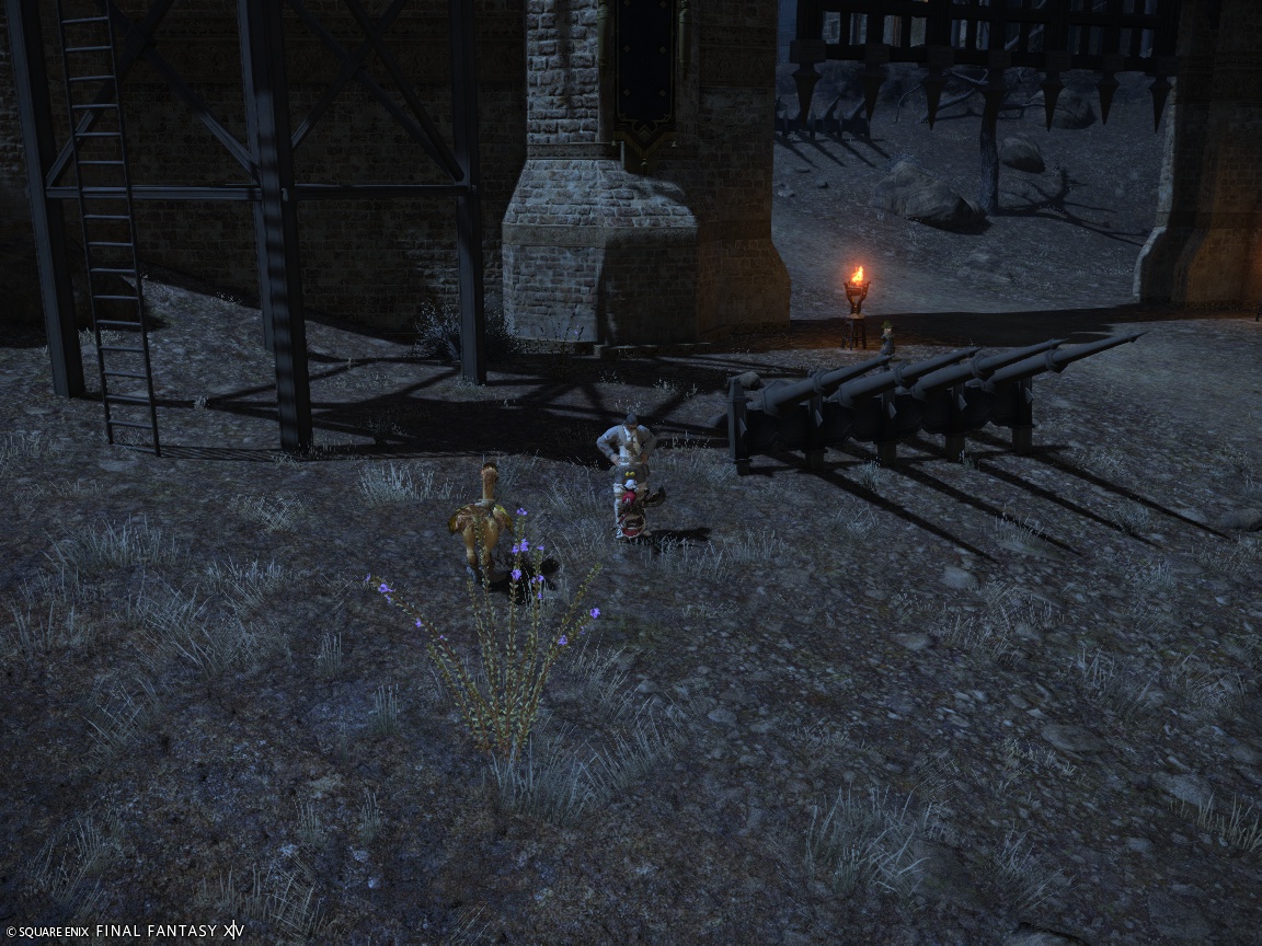 ffxiv_20241105_224402_598