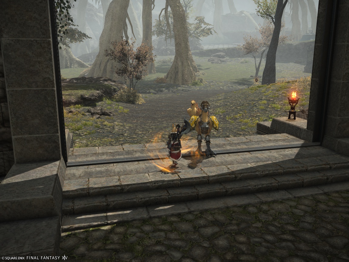 ffxiv_20241113_214915_899