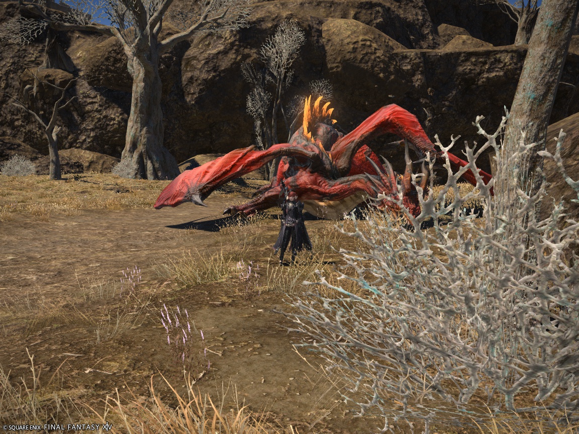 ffxiv_20241204_161305_306