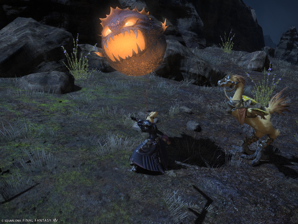 ffxiv_20241225_144558_561