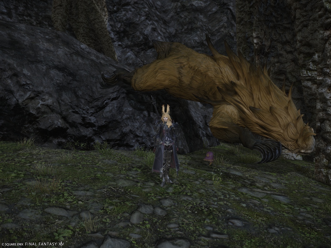 ffxiv_20241225_210629_859