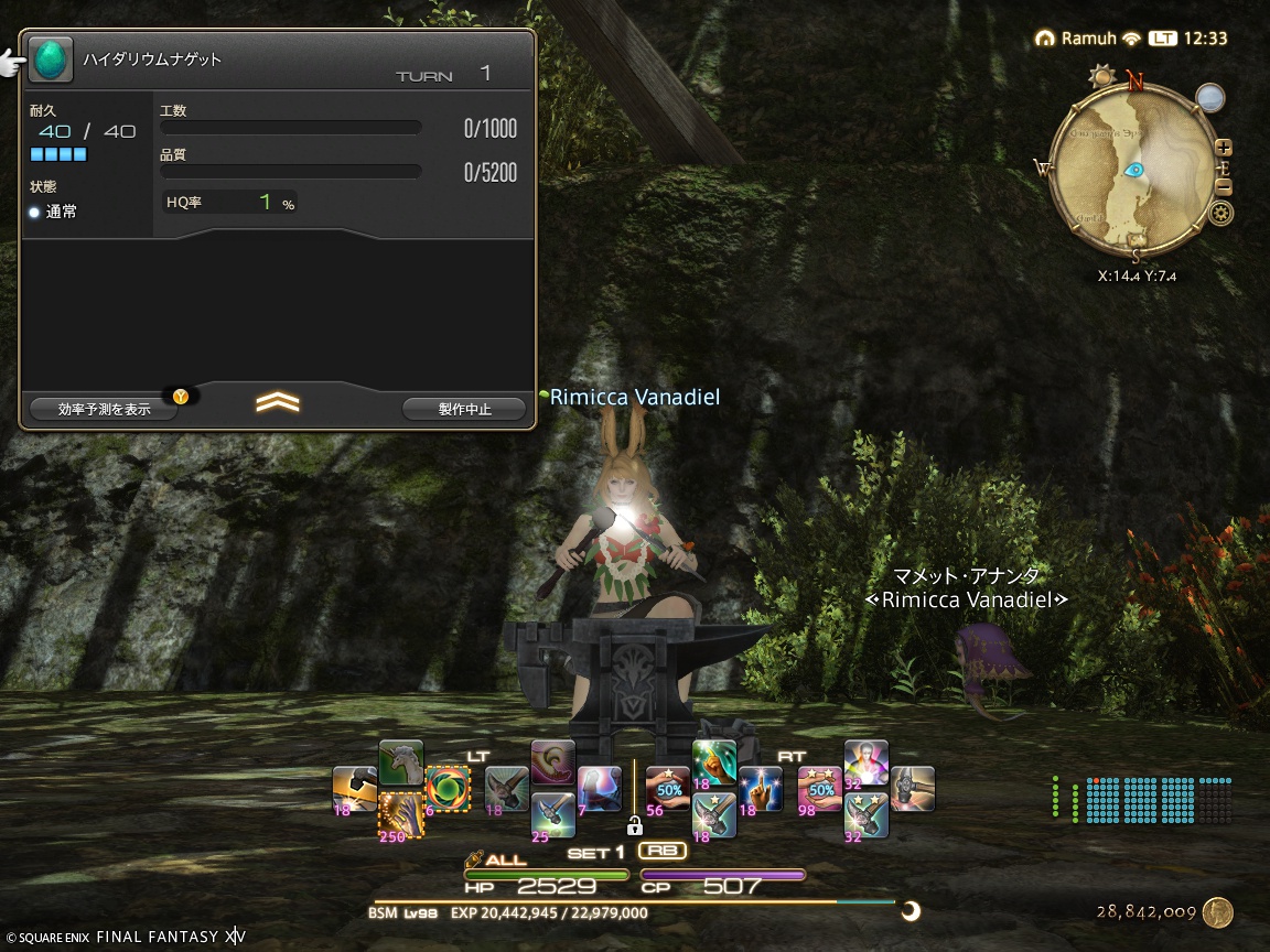 ffxiv_20250528_123307_703