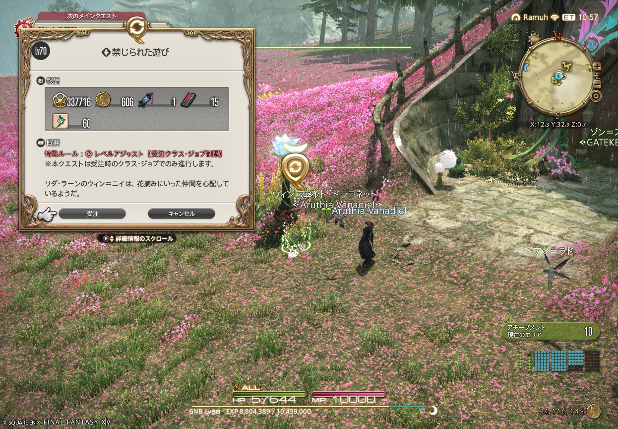 ffxiv_20250621_140159_369