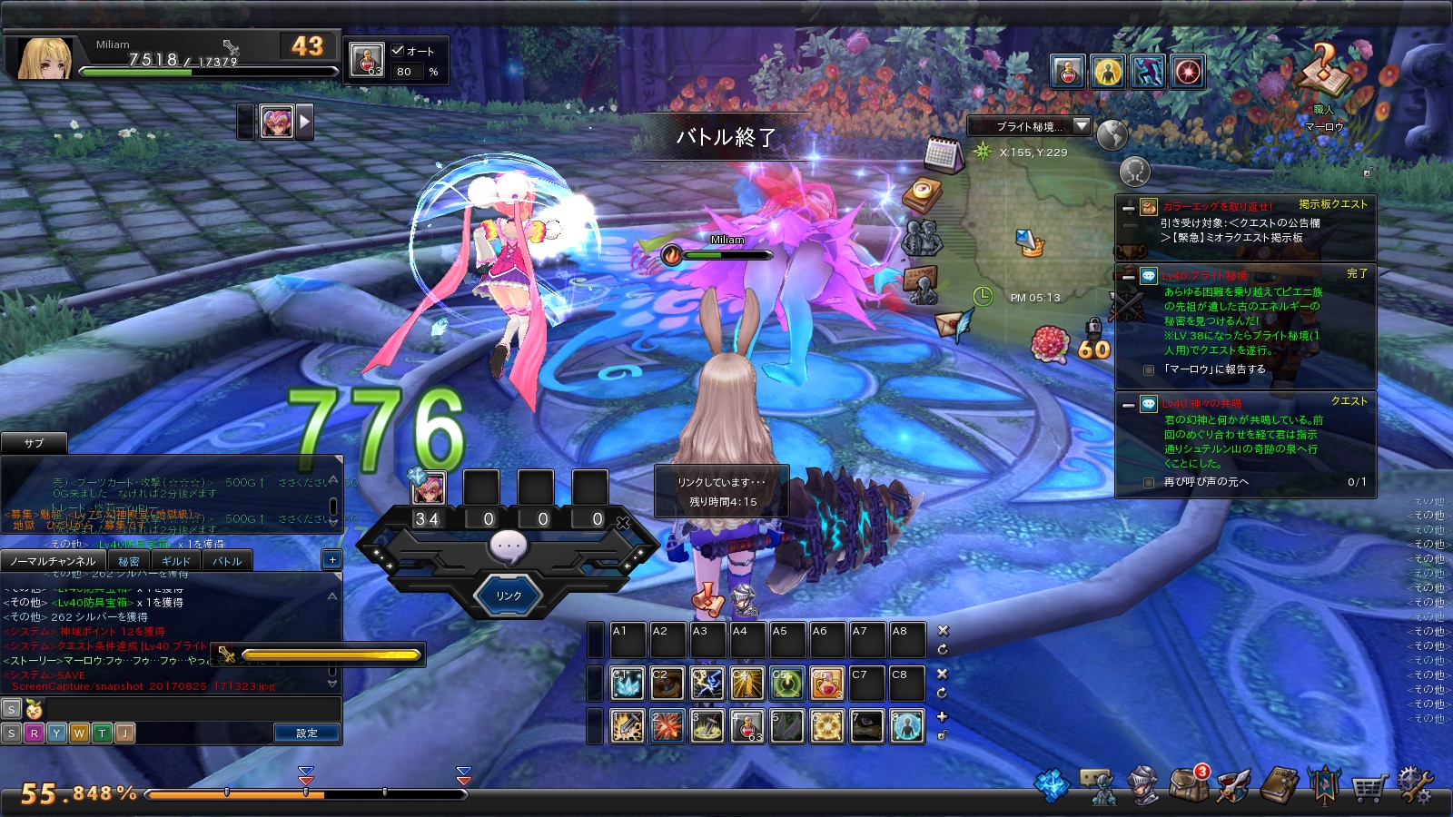 snapshot_20170825_171331