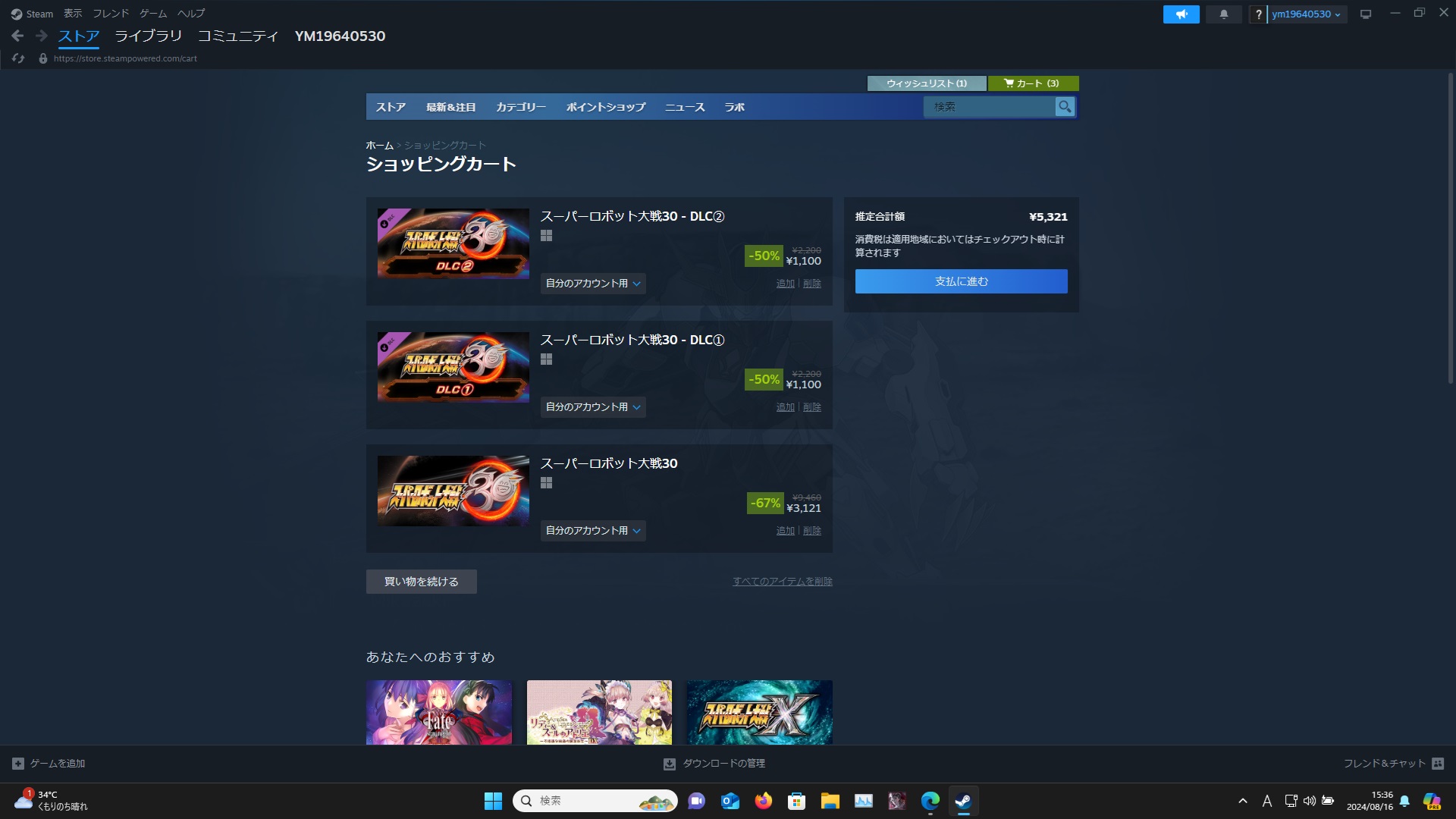 スチームスパロボ30購入1